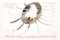 2938-02.jpg
