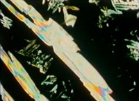 2728-04.jpg