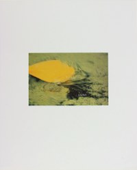 1183-03.jpg