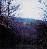 2717-03.jpg