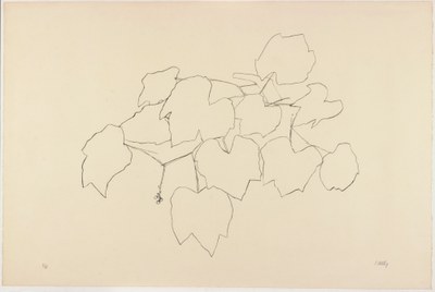 Grape Leaves I
