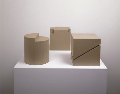 Kartonplastik