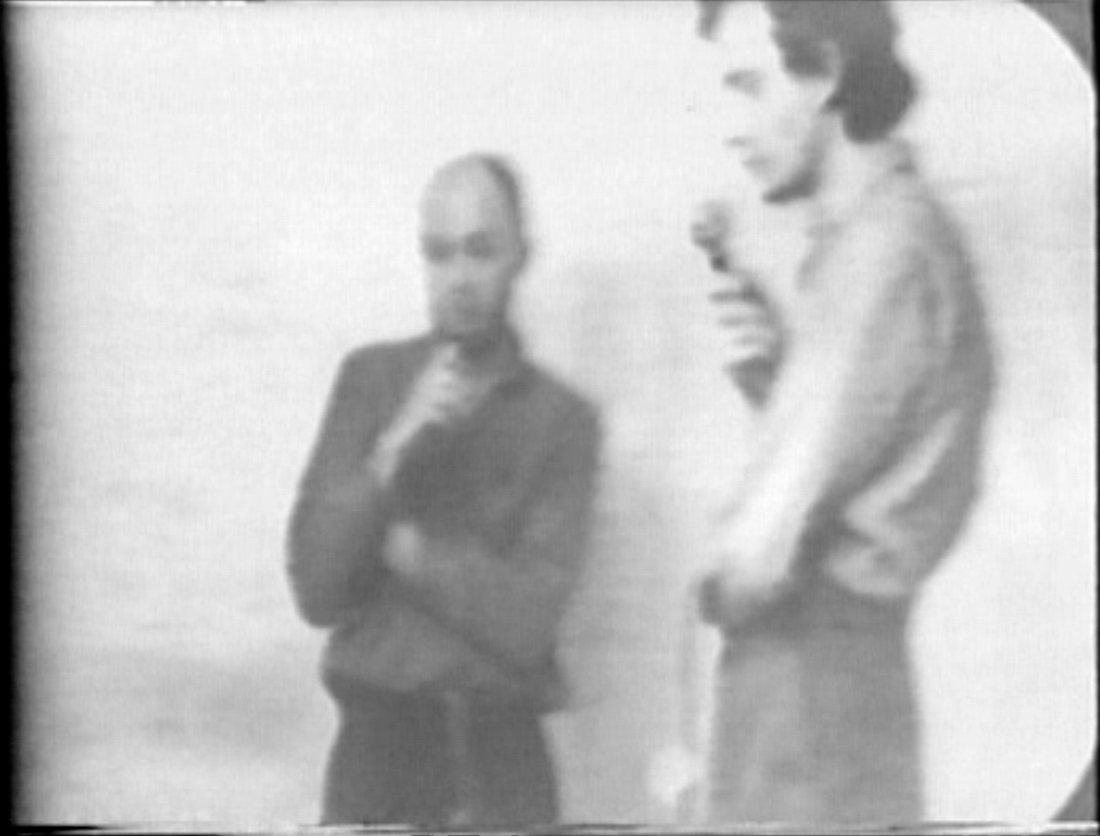 2732.jpg
