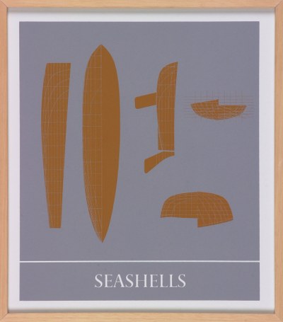 Seashells