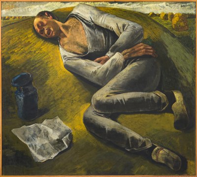 Slapende boer