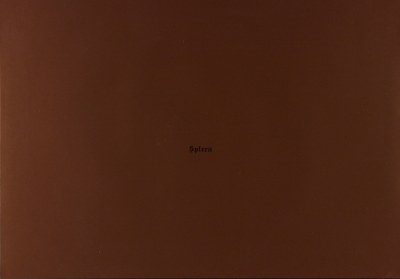Spleen
