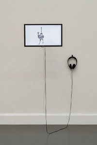 3571-1.jpg