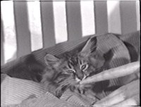 2588-02.jpg