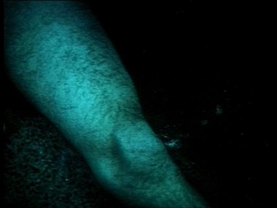 Thighing (Blue)