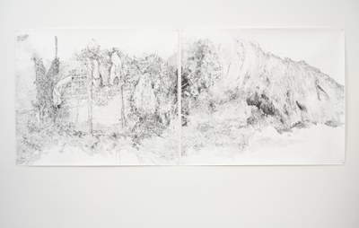 Vast Area