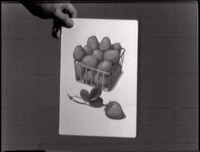 2582-01.jpg