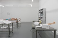 https://mediabank.vanabbemuseum.nl/vam/files/alexandria/publiciteit/zaaloverzichten/2020/positions6/20201130%2079.jpg