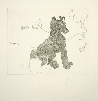 Black Dog