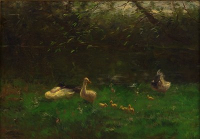 Eendenfamilie