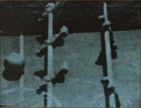 1360-03.jpg