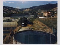 2039-04.jpg
