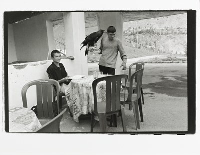 Hawk's trainers in the mountains