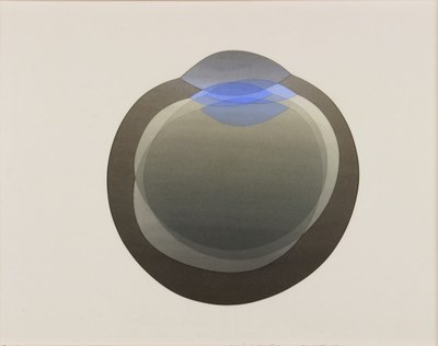 Oog