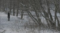 2908-01.jpg
