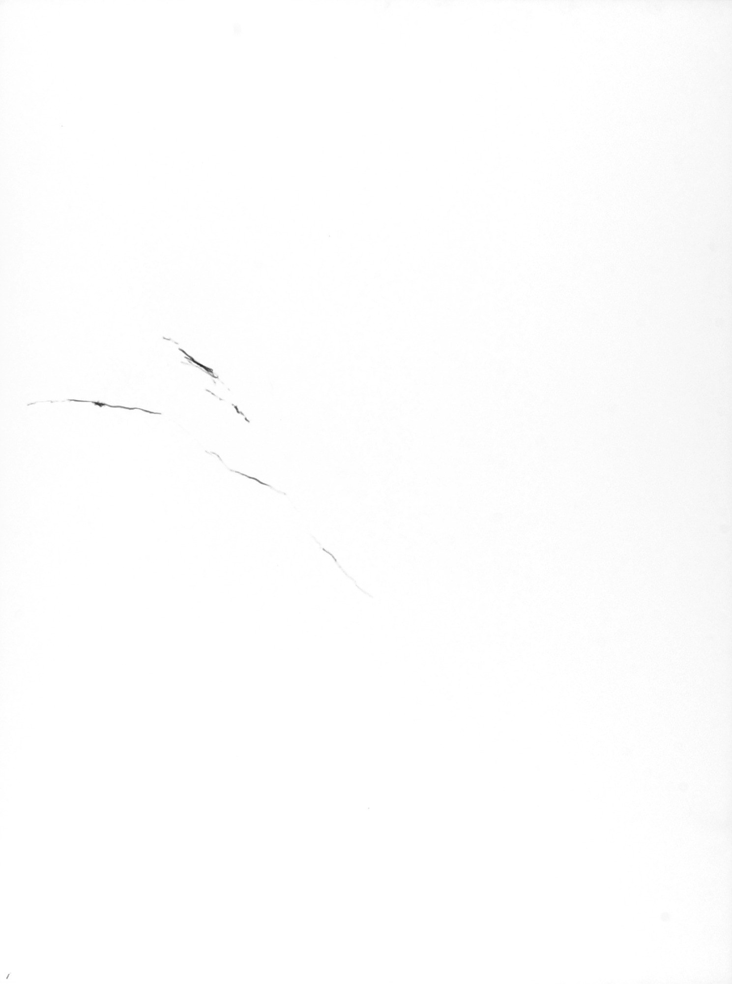 0797-01.jpg