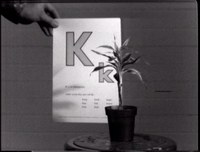 2581-01.jpg
