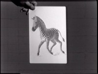 2582-02.jpg