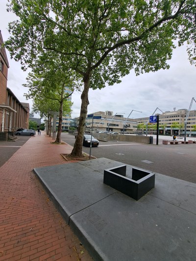 Wandelroute vanaf Eindhoven Centraal (15 minuten)