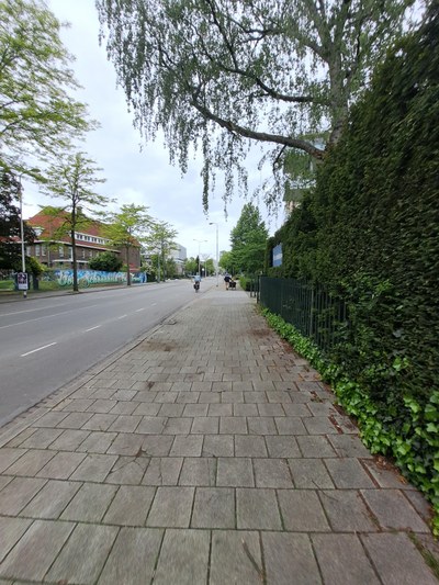 Wandelroute vanaf bushalte PC Hooftlaan (4 minuten)