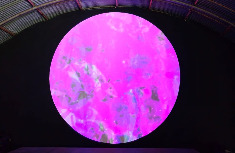 GLOW - Richard Bolhuis: Primary